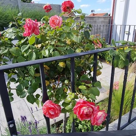 Penzion U Bustiku Sardice Bagian luar foto