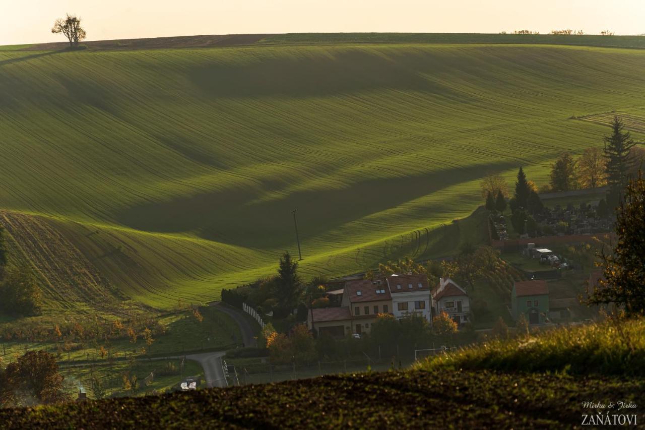 Penzion U Bustiku Sardice Bagian luar foto