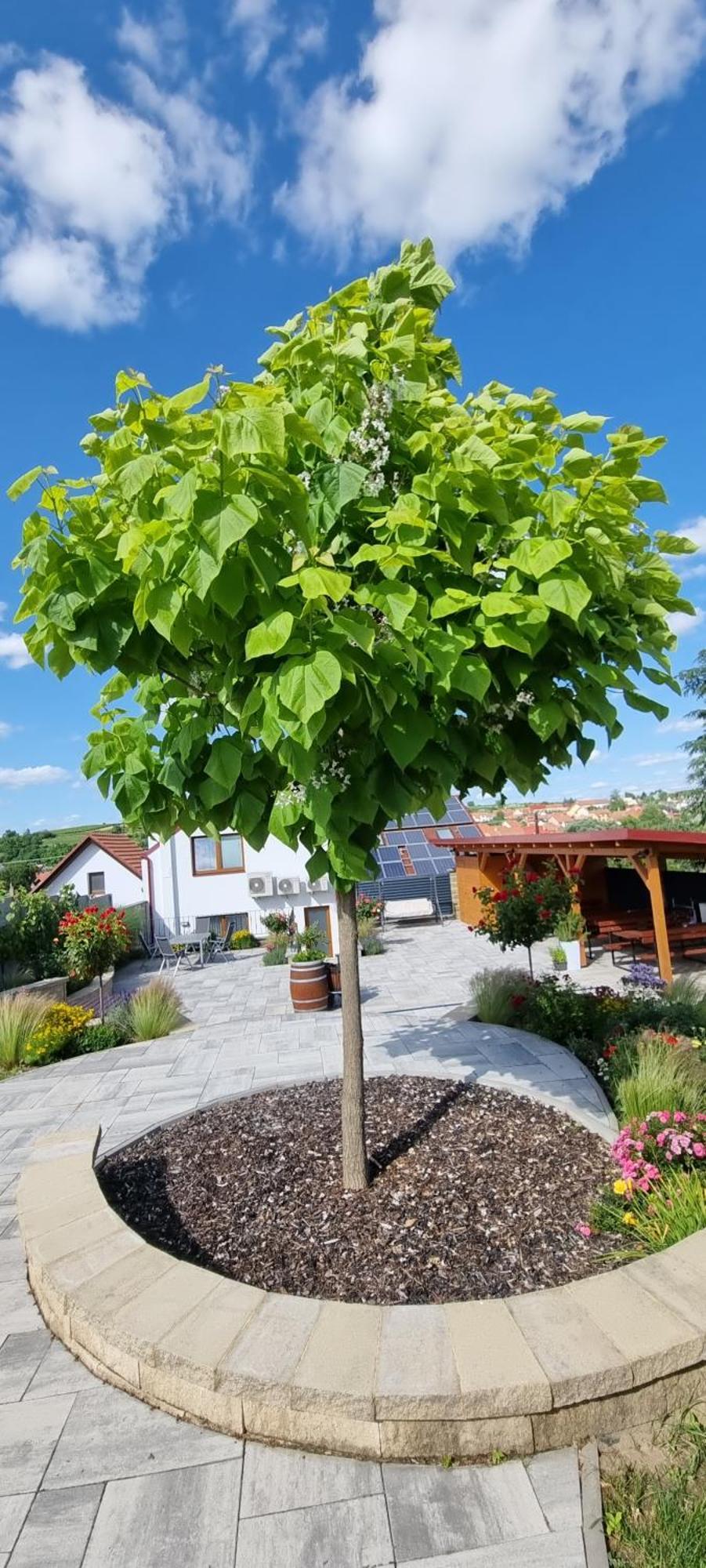 Penzion U Bustiku Sardice Bagian luar foto